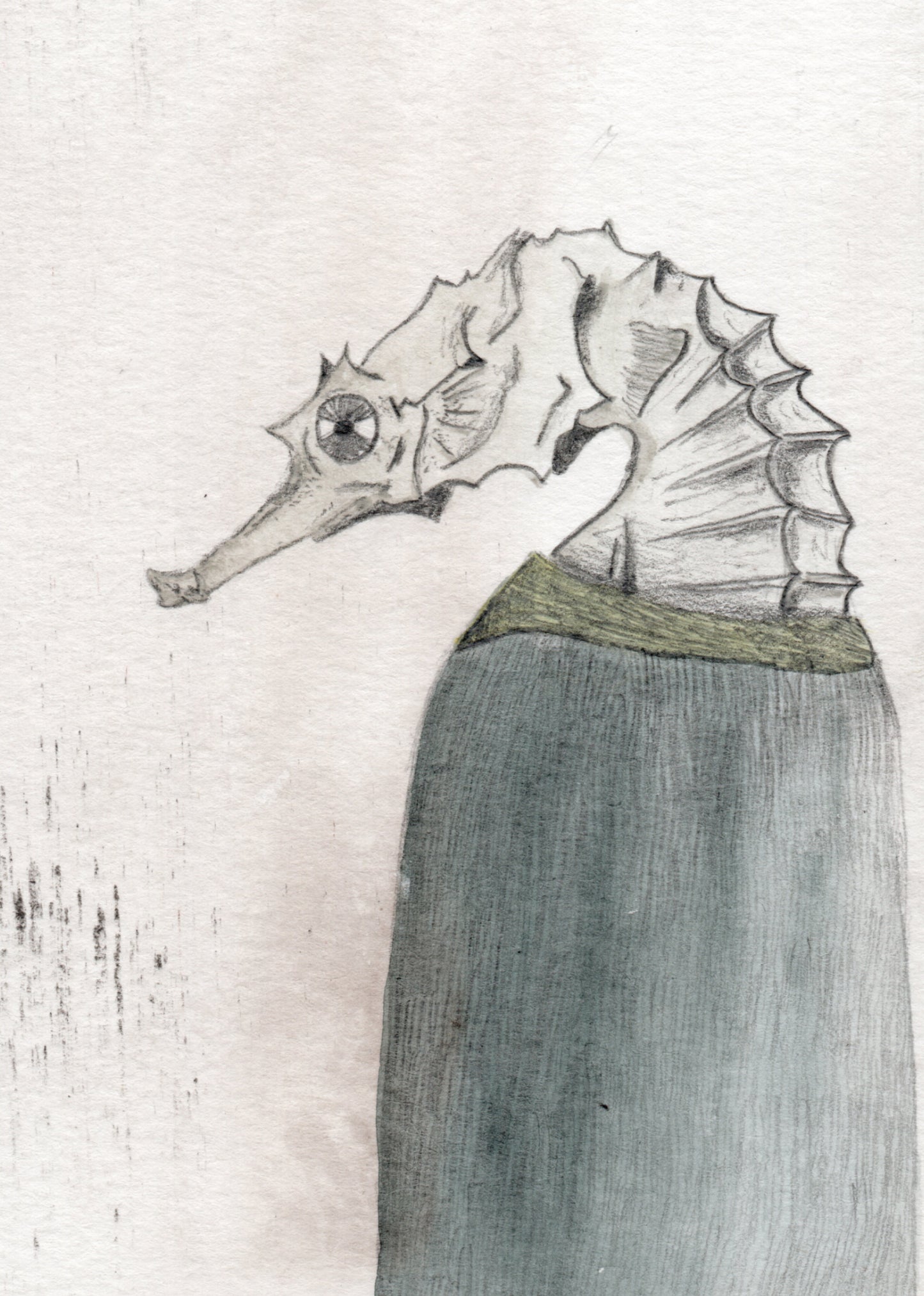 Jūrų arkliukas -45%