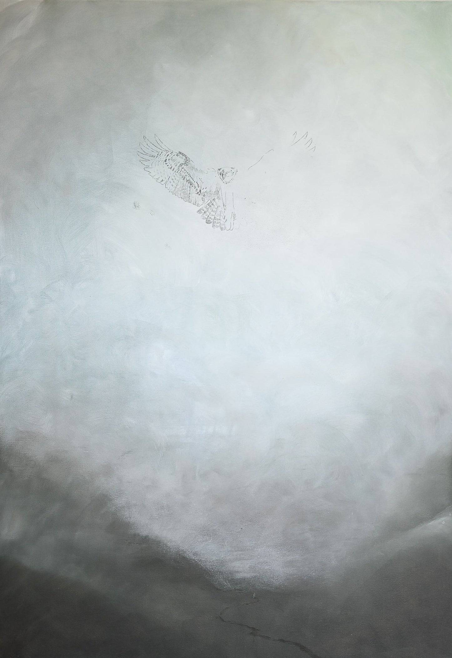 Bear's Dream