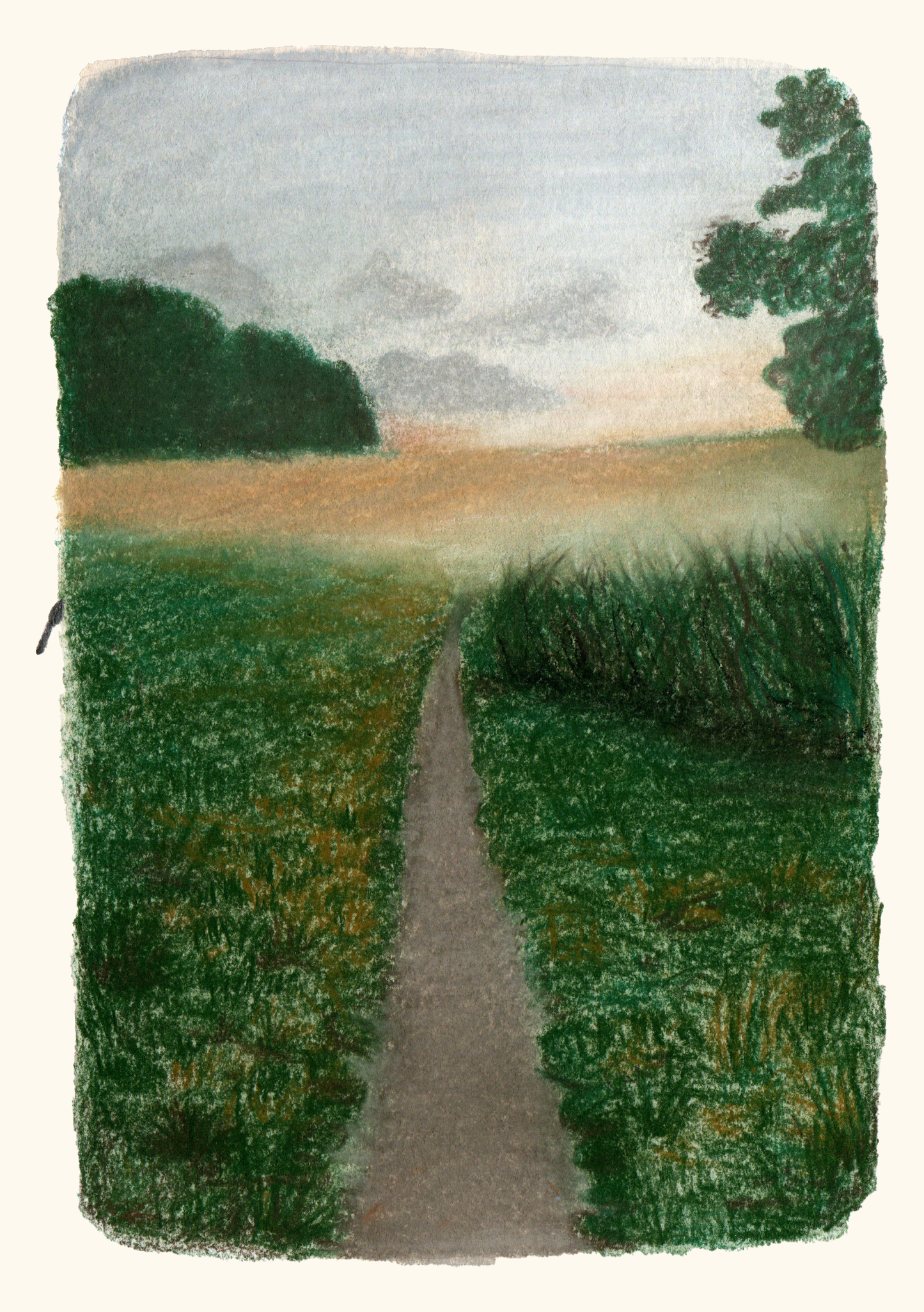 Original postcard - Herbs