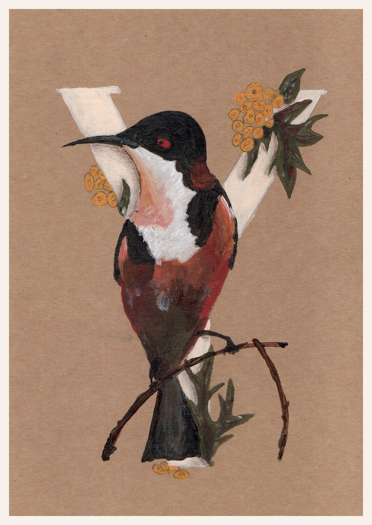 Original postcard - Herbs