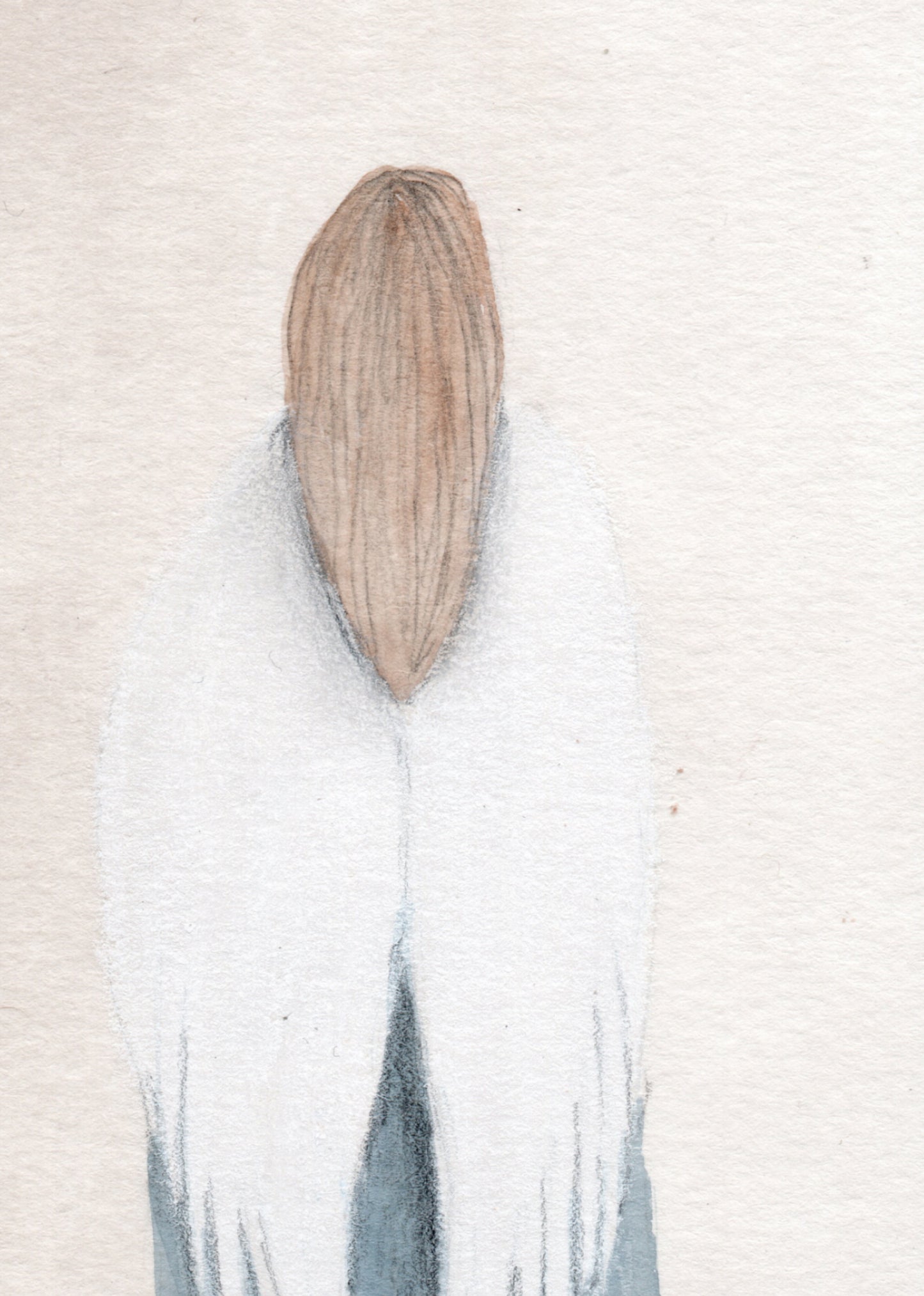 Angelas