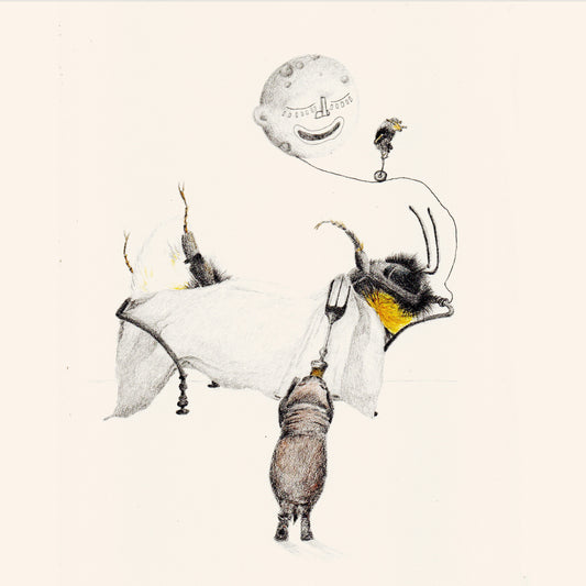 Kamanės kelionė II