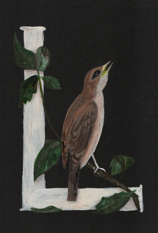 Paveikslėlis su L raide