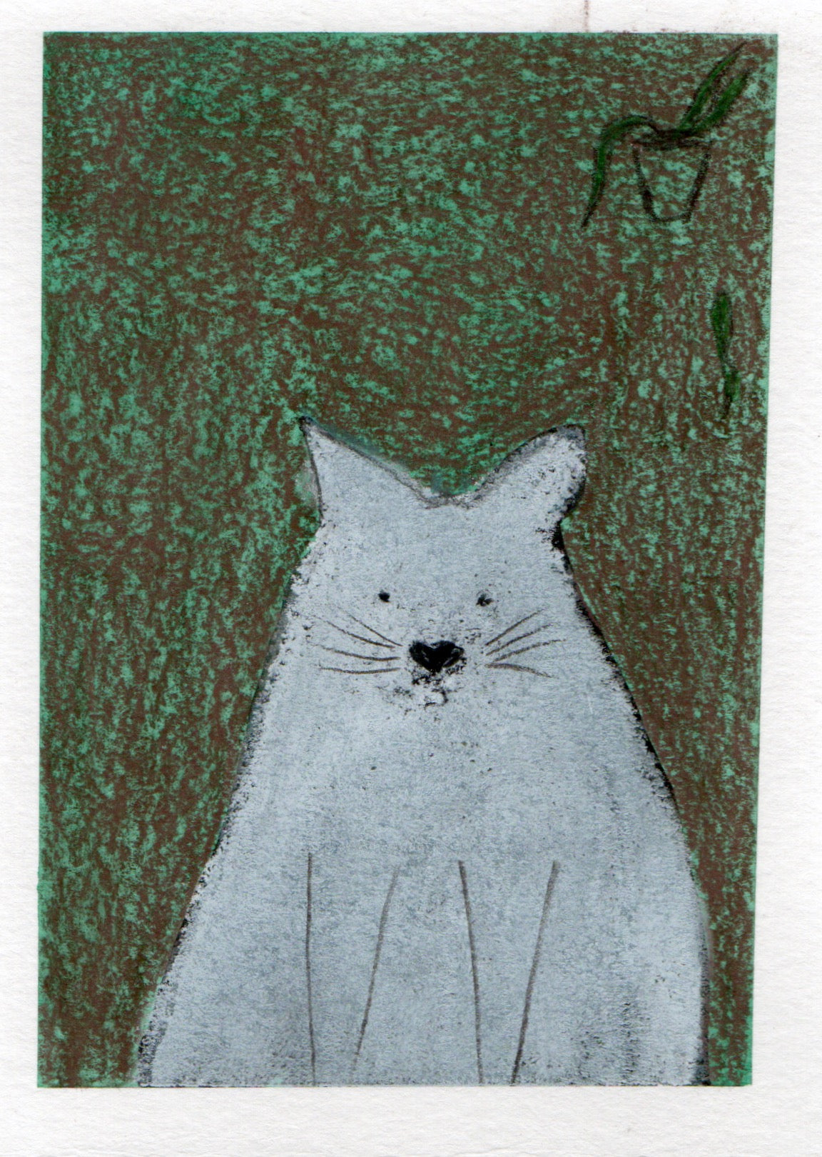 Original postcard - Cat portrait