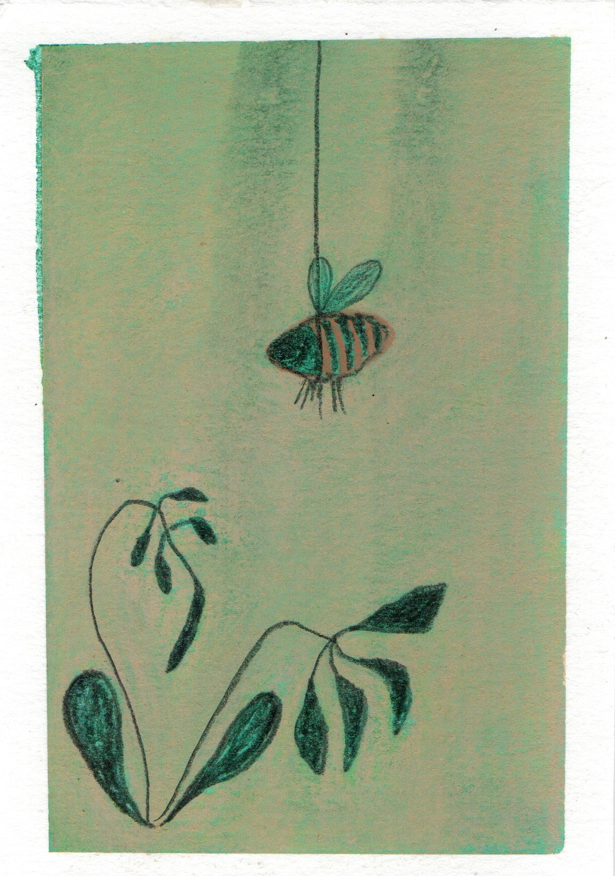 Original postcard - Bee